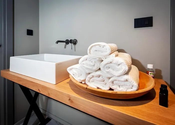 Art Renata With Pool & Sauna * Rovinj